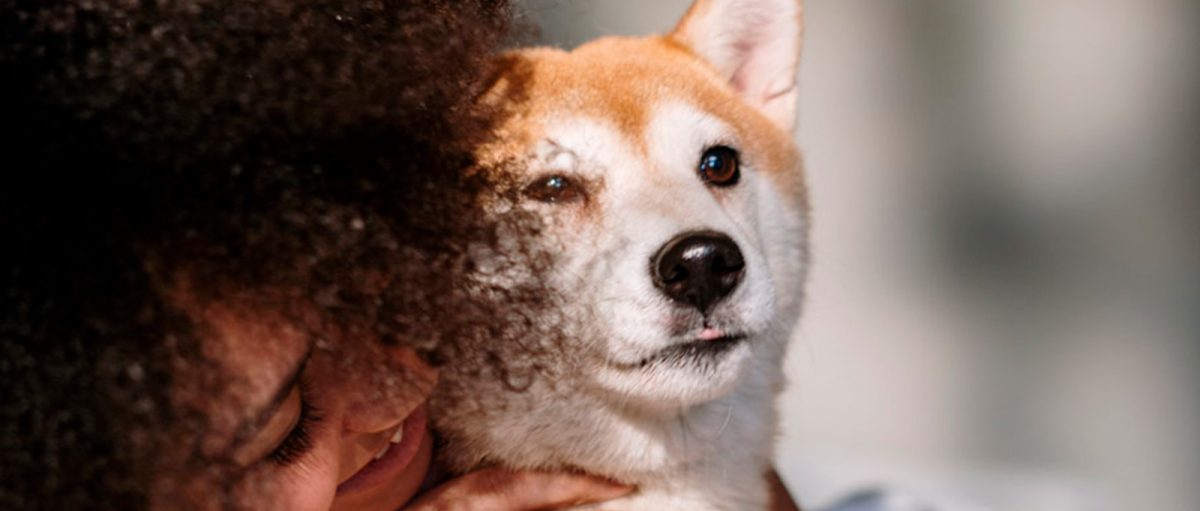 Perro con su dueña